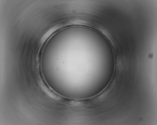X0000111151082200906301331
