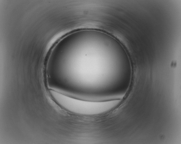 X0000111151085200906301331