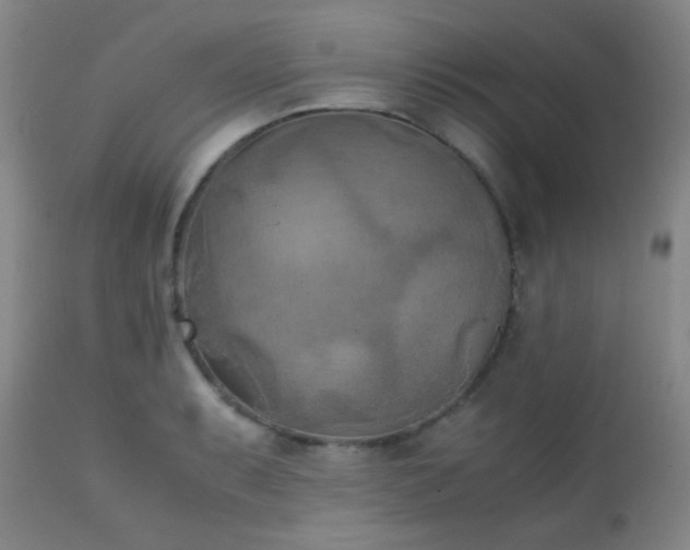 X0000111151087200906301331