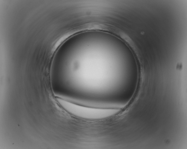 X0000111151089200906301331