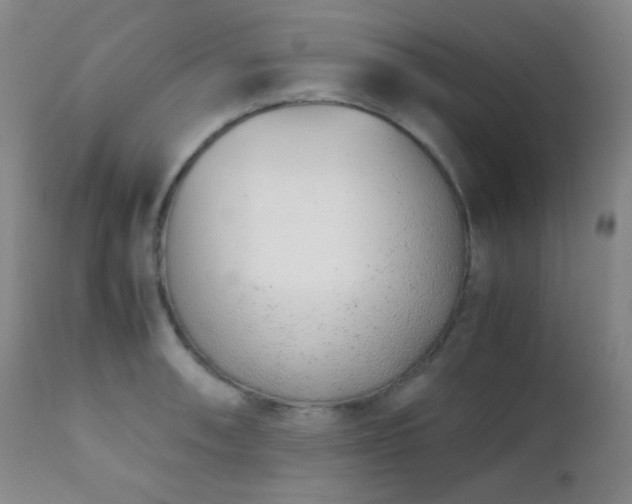 X0000111151090200906301331
