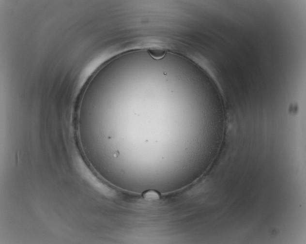 X0000111151091200906301331