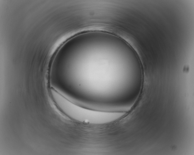 X0000111151093200906301331