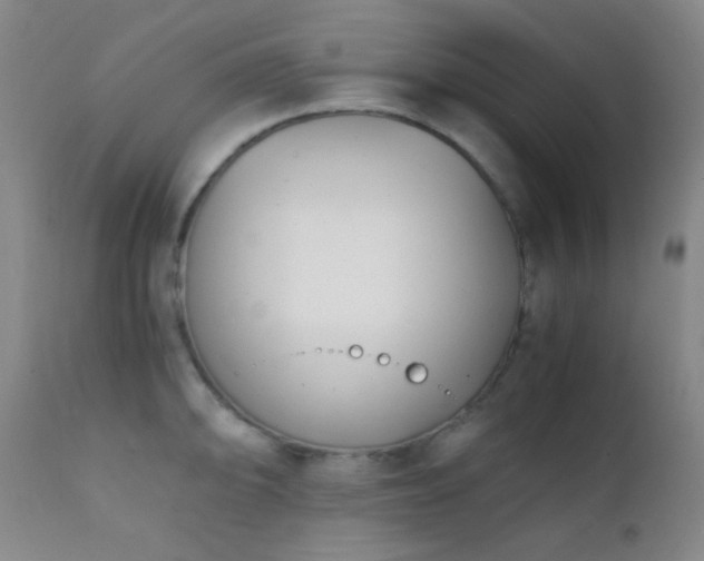 X0000111151094200906301331