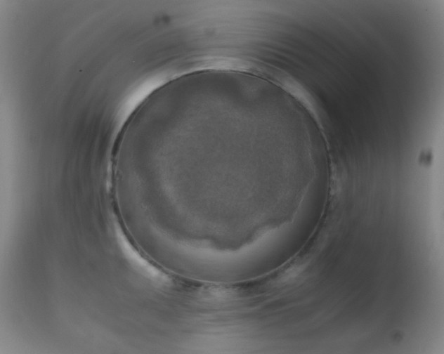 X0000111151095200906301331