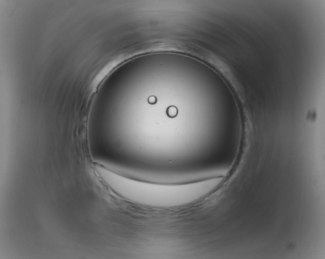 X0000111151097200906301331