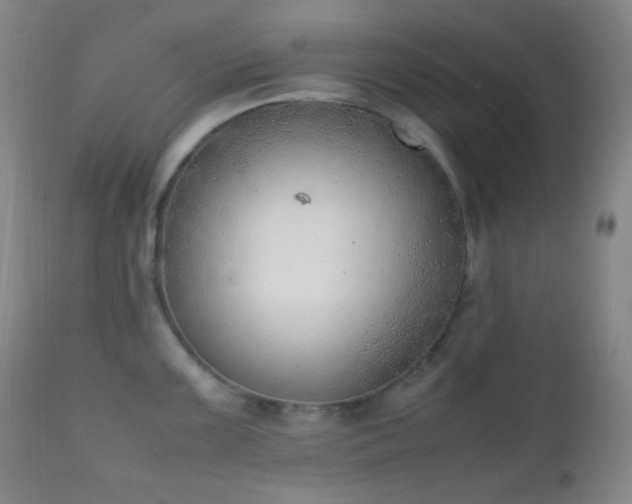 X0000111151099200906301331