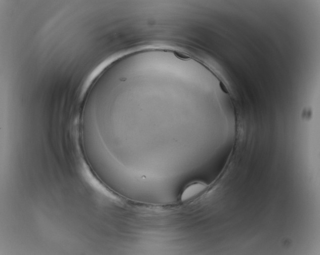 X0000111151100200906301331
