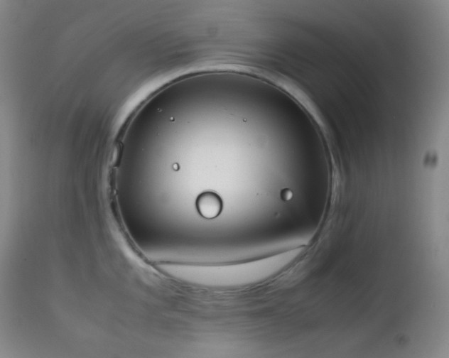 X0000111151101200906301331