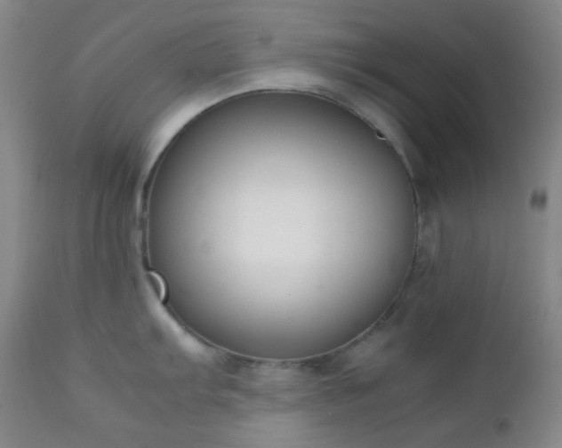 X0000111151103200906301331