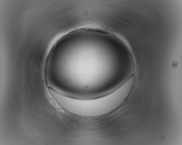 X0000111151104200906301331