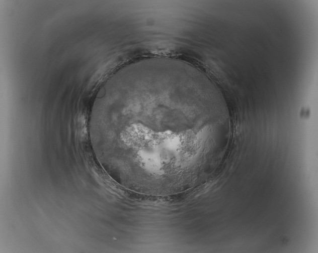 X0000111151106200906301330