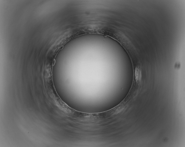X0000111151107200906301330