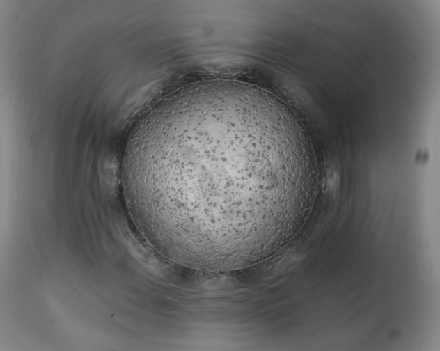 X0000111151108200906301330