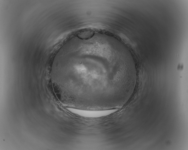 X0000111151110200906301330