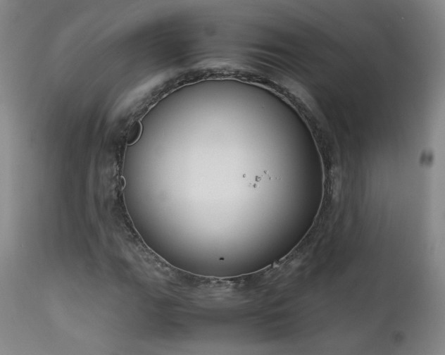 X0000111151111200906301330