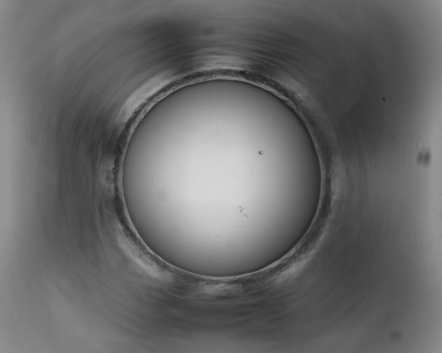 X0000111151113200906301331