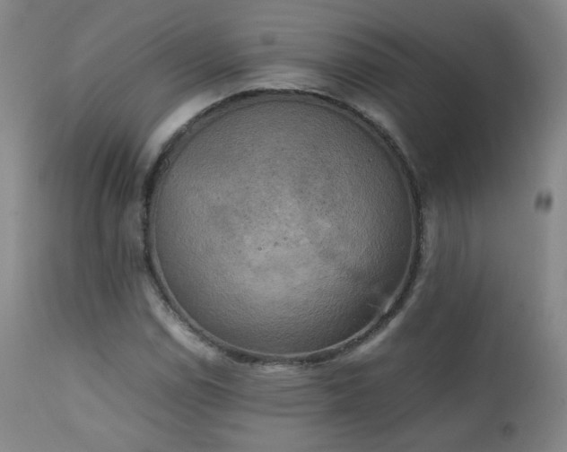 X0000111151114200906301331