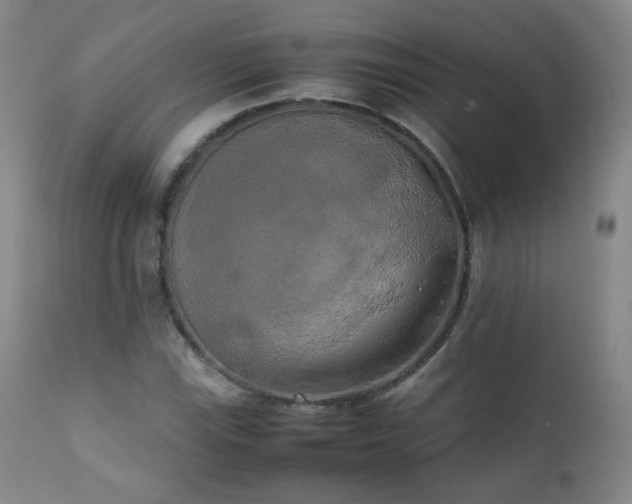 X0000111151115200906301331