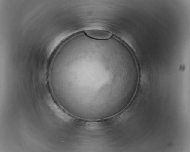 X0000111151116200906301331