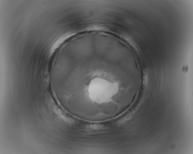X0000111151117200906301331