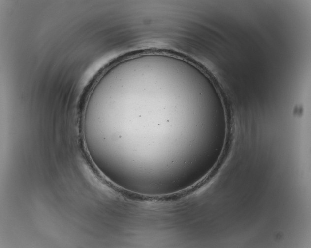X0000111151118200906301331