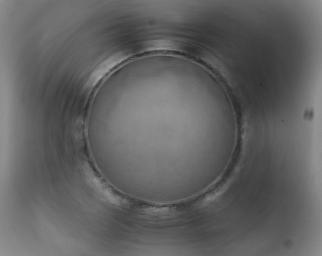 X0000111151121200906301331