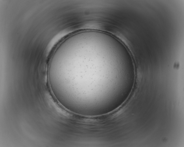 X0000111151123200906301331