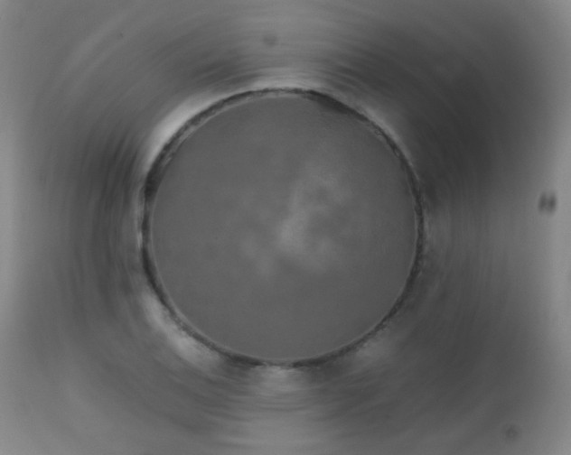 X0000111151124200906301331