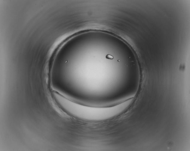 X0000111151128200906301331