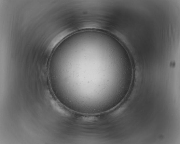 X0000111151129200906301331