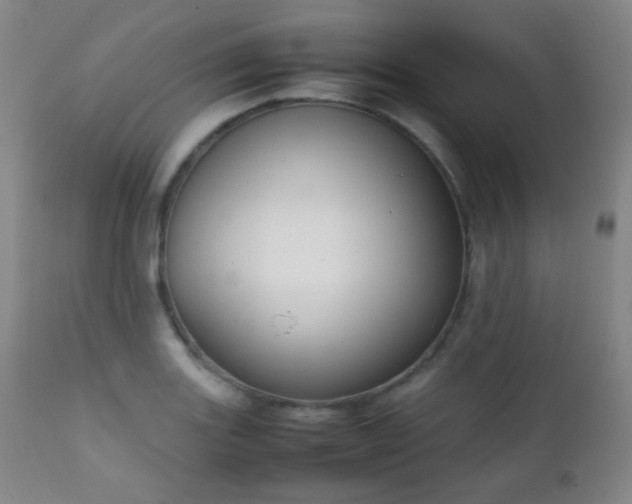 X0000111151131200906301331