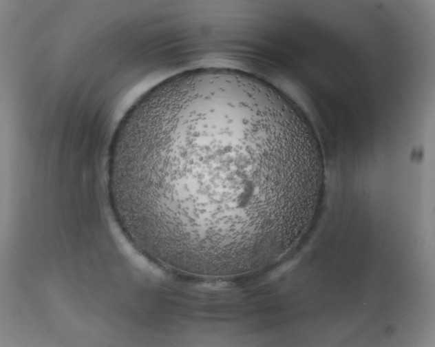 X0000111151133200906301331