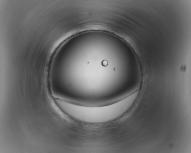 X0000111151134200906301331