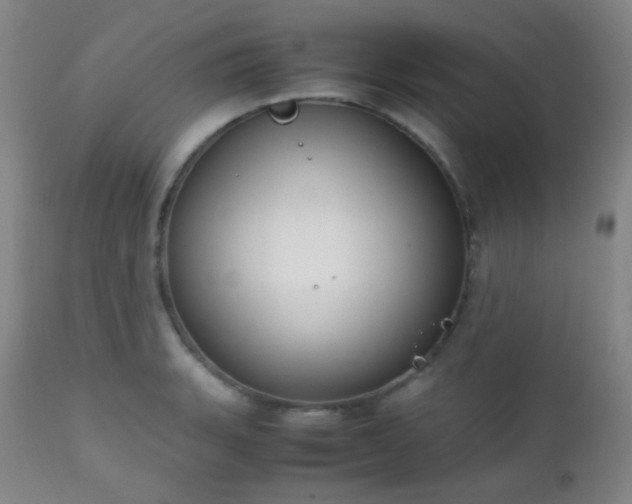 X0000111151135200906301331