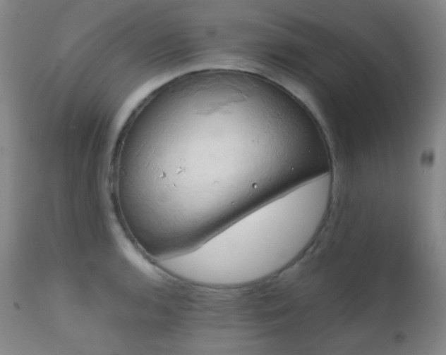 X0000111151136200906301331