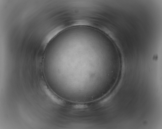 X0000111151137200906301331