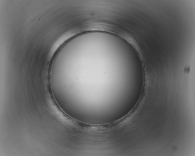 X0000111151138200906301331