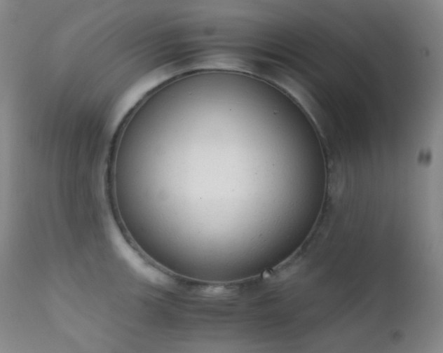 X0000111151139200906301331