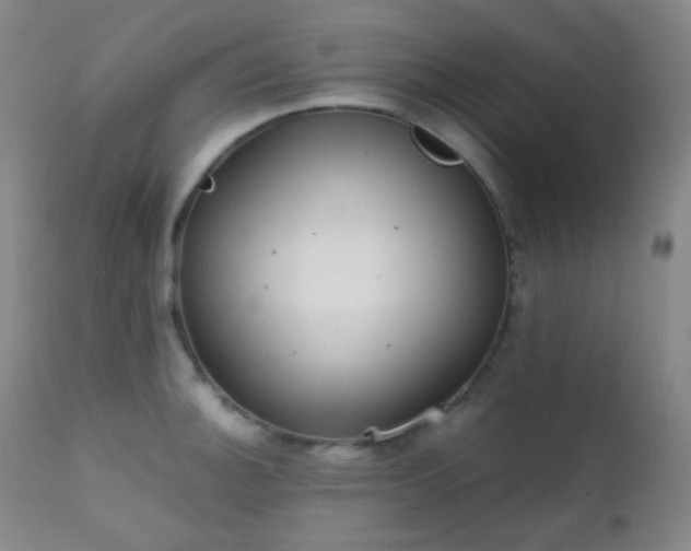X0000111151140200906301331