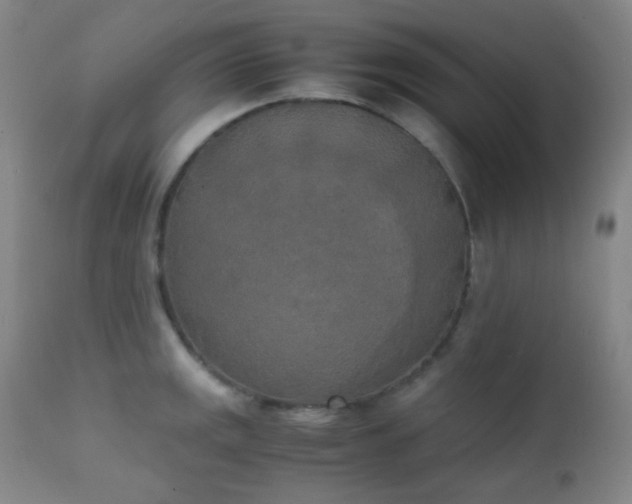 X0000111151141200906301331