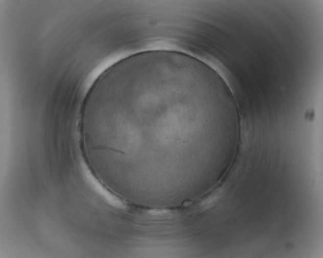 X0000111151142200906301331