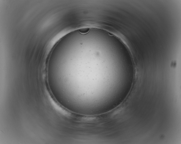 X0000111151143200906301331