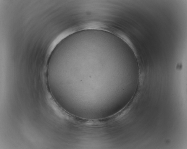 X0000111151146200906301331
