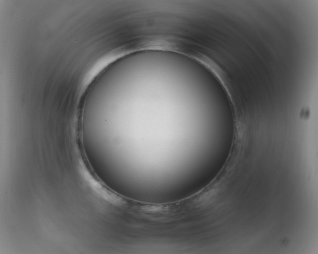 X0000111151147200906301331