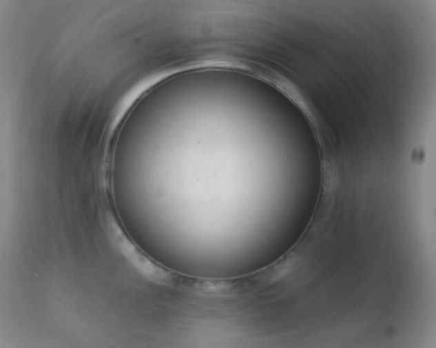 X0000111151148200906301331