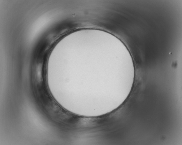 X0000111151150200906301331