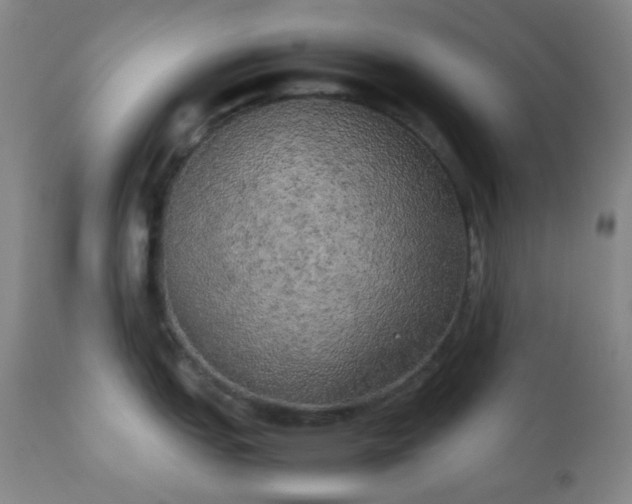 X0000111151151200906301331
