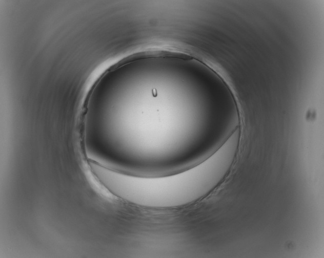 X0000111151152200906301331