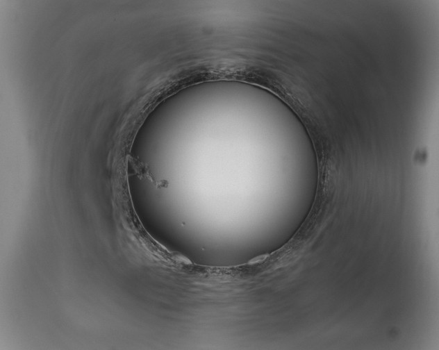 X0000111151153200906301330